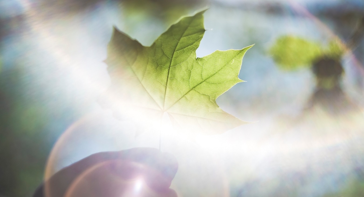 Fot. Markus Spiske / Unsplash