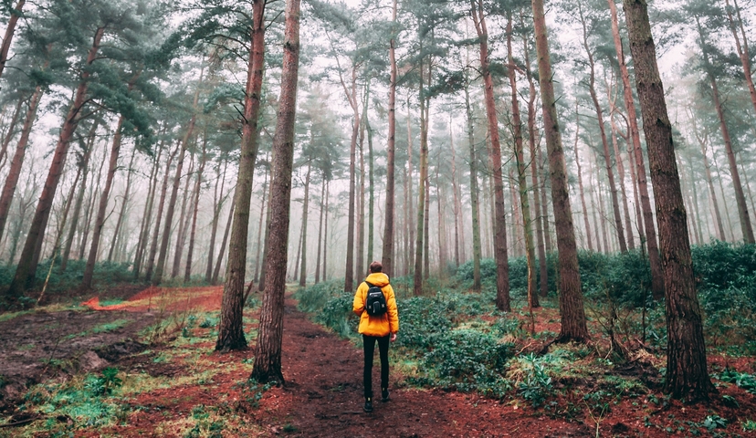 5 pytań do rekrutera z Aptiv