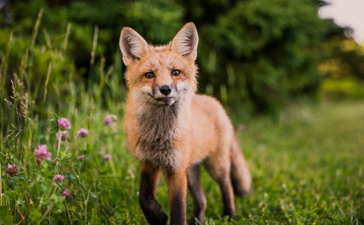 Fot. Scott Walsh / Unsplash