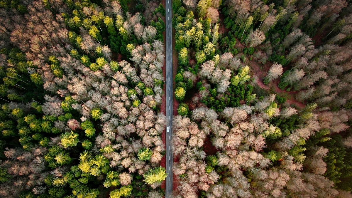 Fot. Nathan Queloz / Unsplash