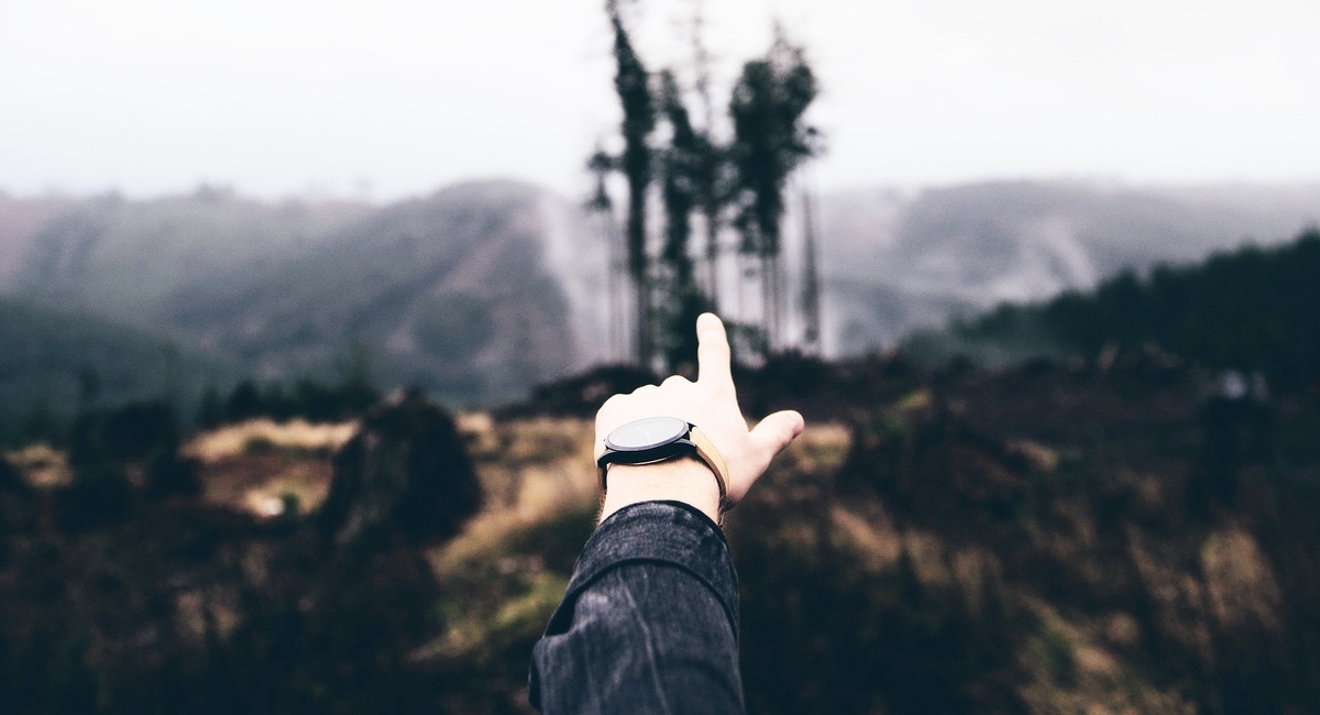 Fot. Greg Raines / Unsplash