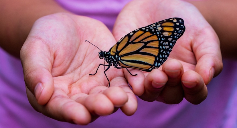 Inwestujemy w młode talenty, które u nas mogą rozwinąć skrzydła
