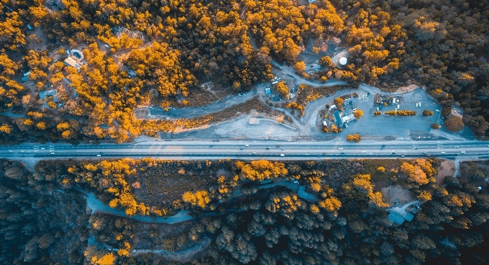 Fot. Sid Verma / Unsplash