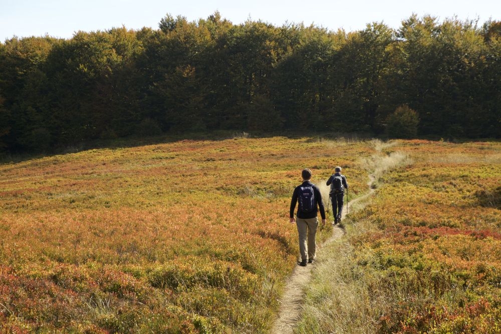 galeria zdjęć, obraz numer 1