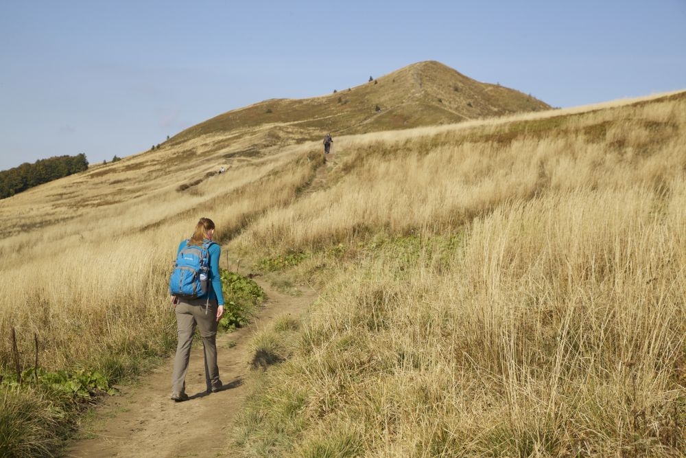 galeria zdjęć, obraz numer 6