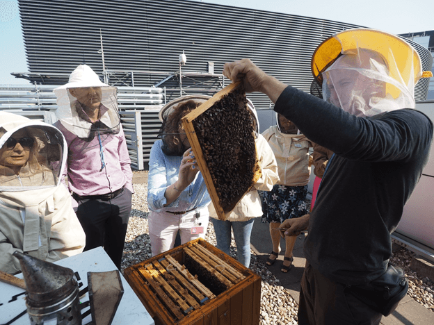 galeria zdjęć, obraz numer 5