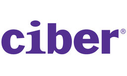Ciber Polska