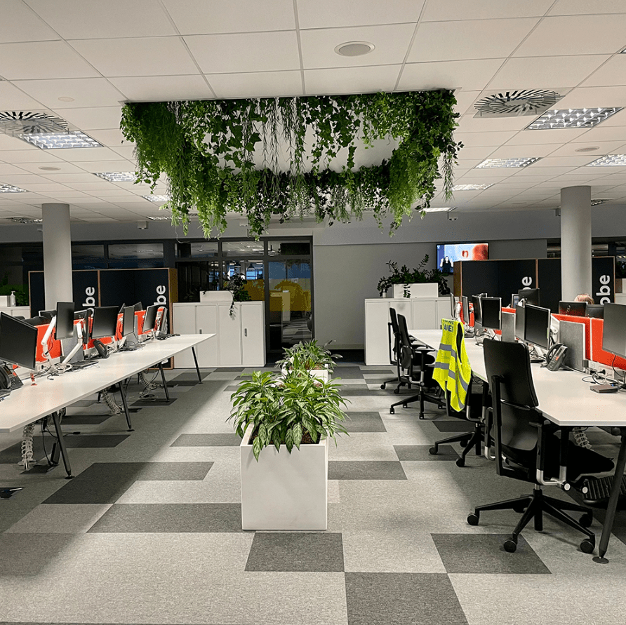 galeria zdjęć, obraz numer 3