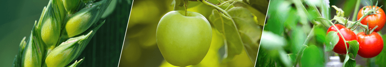 Specjalista ds. finansowo-pracowniczych i księgowości