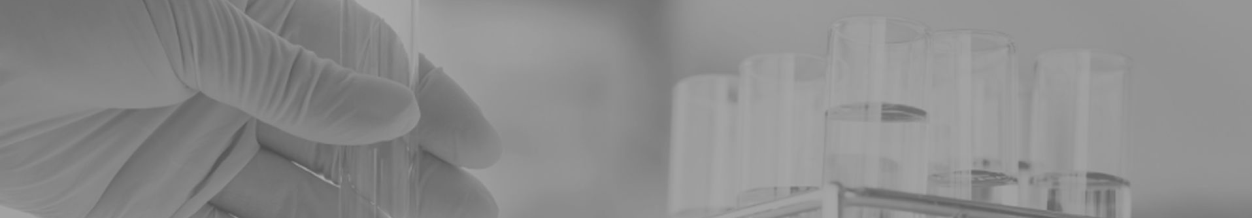 Zastępca Głównego Księgowego