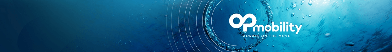 AP Accountant with French